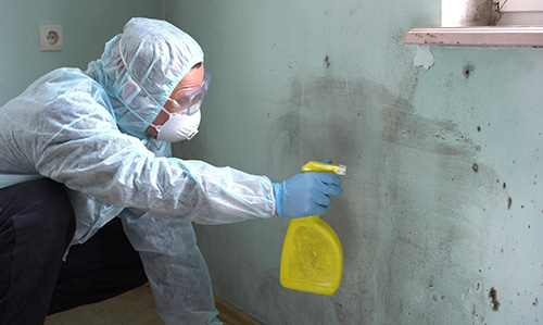 Employee inspecting mold