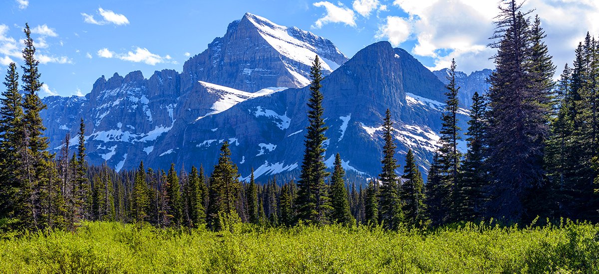 Montana Workers' Compensation