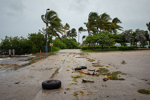 Cleaning Up After Hurricane Irma